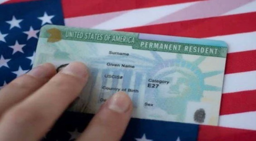 Documento falso de Green Card y licencia de conducir para uso no oficial
