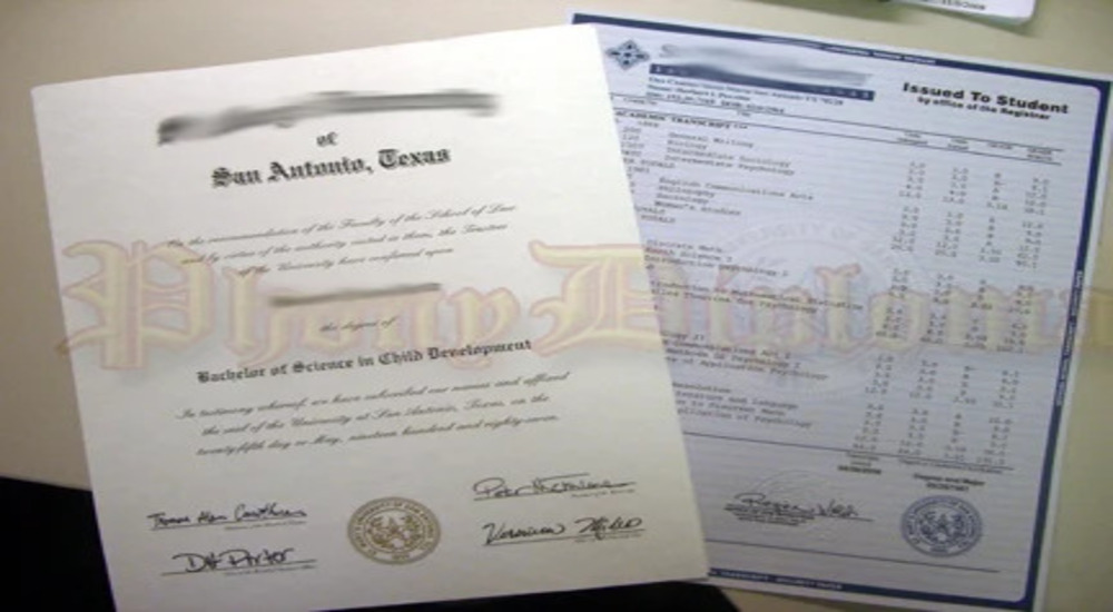 Diferencias entre diploma falso certificado de grado falso y transcriptos